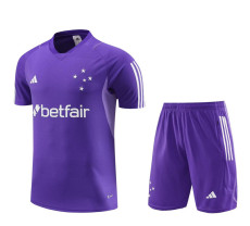 23-24 Cruzeiro Purple Training Short Suit