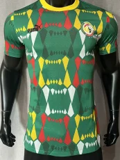 23-24 Senegal Green Player Version Soccer Jersey