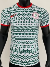 2023 Nigeria Green White Player Version Training Shirts