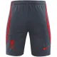23-24 LIV Grey Training Shorts Pants