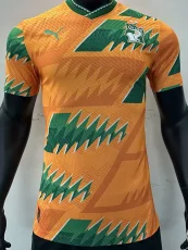23-24 Cote d'Ivoire Orange Green Special Edition Player Version Training Shirts