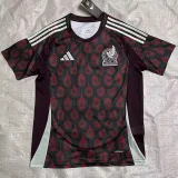 2024 Mexico Home Fans Soccer Jersey