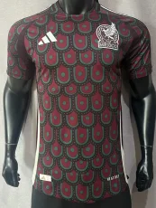 2024 Mexico Home Player Vesion Soccer Jersey