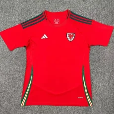 24-25 Wales Home Fans Soccer Jersey