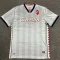 24-25 Bari White Grey Special Edition Fans Soccer Jersey