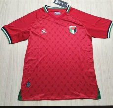 24-25 Palestina Away Fans Soccer Jersey