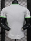 2025-26 Algeria White Player Version Training shirts (绿标)