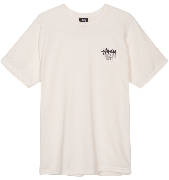STUSSY FORCES OF NATURE DYED TEE