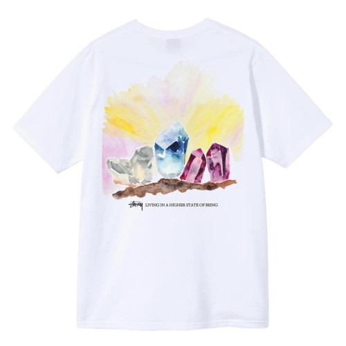 STUSSY LIVING IN A HIGHER STATE OF BEING MEN'S TEE