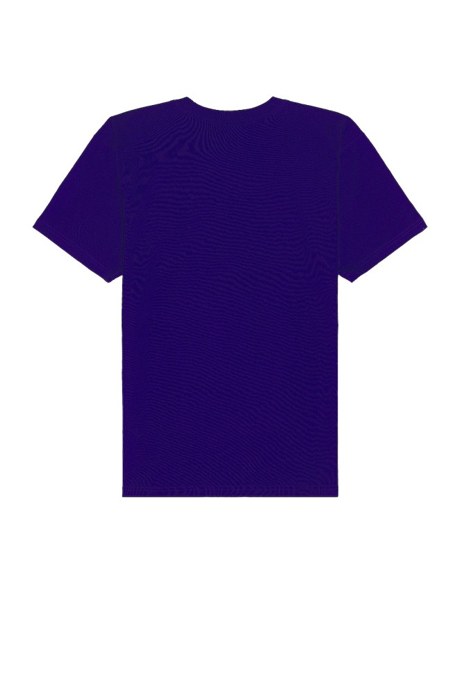 The North Face Short Sleeve Heavyweight Box Tee