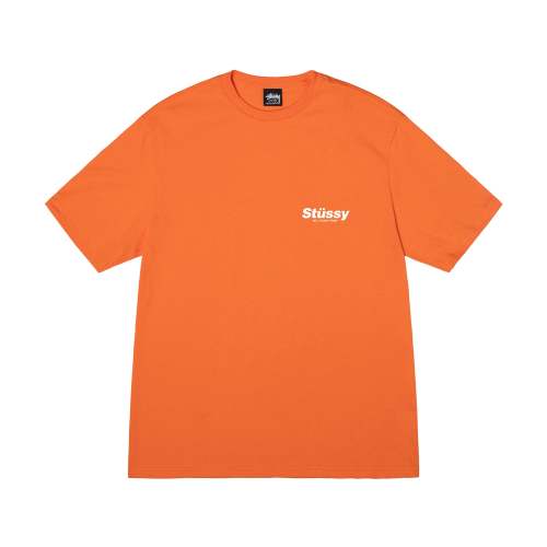 STUSSY Rabbit Hole Tee In Orange