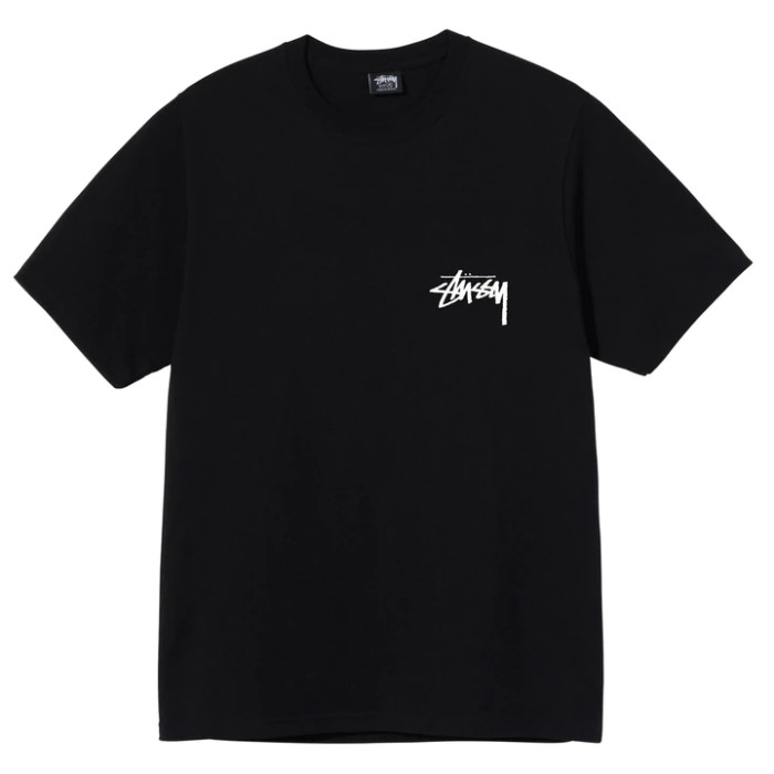 STUSSY BIG LINK DYED TEE