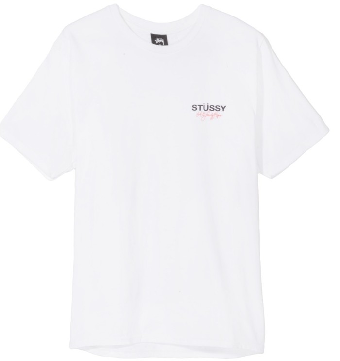 STUSSY ALL FRUITS RIPE TEE