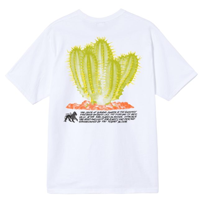 STUSSY DESERTBLOOM TEE