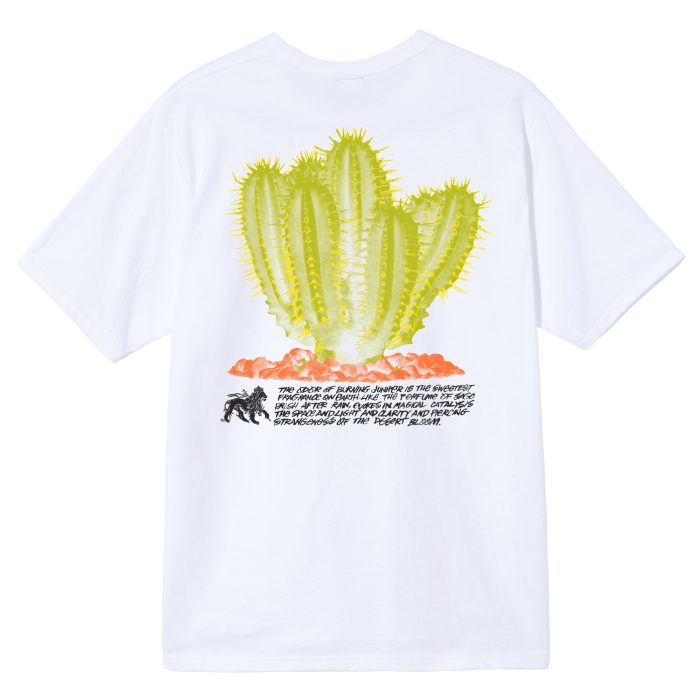 STUSSY DESERTBLOOM TEE