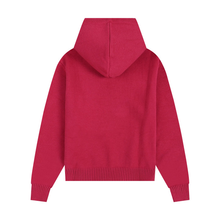 AMI Big Logo Hooded Sweater Red