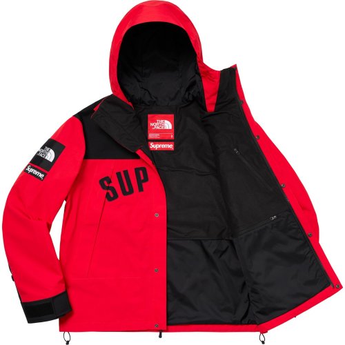 Supreme The North Face Arc Logo Mountain Parka Red