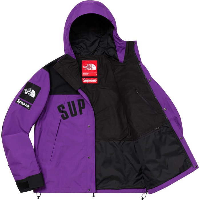 Supreme The North Face Arc Logo Mountain Parka Purple