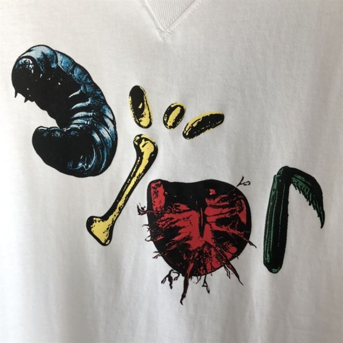 DIOR OVERSIZED CACTUS JACK DIOR T-SHIRT – DOT009