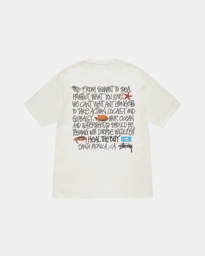 STUSSY SHORT ESSAY TEE BEIGE