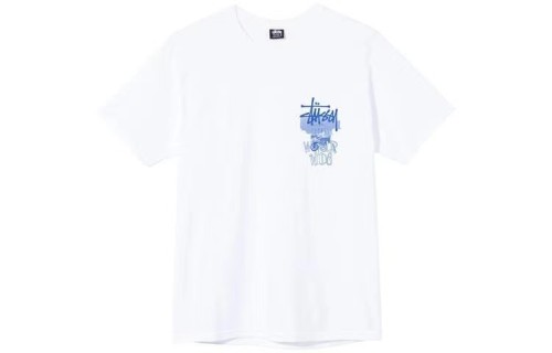 STUSSY RUINS PRINT TEE WHITE