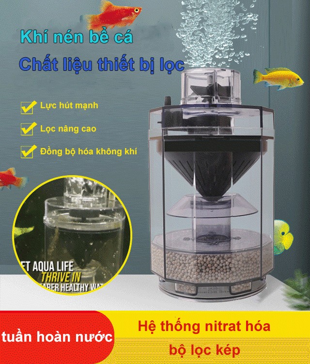 bộ lọc khí nén bể cá Rửa bể cá giúp bạn tiết kiệm thời gian Nó không chỉ lọc nước mà còn có chức năng tăng oxy