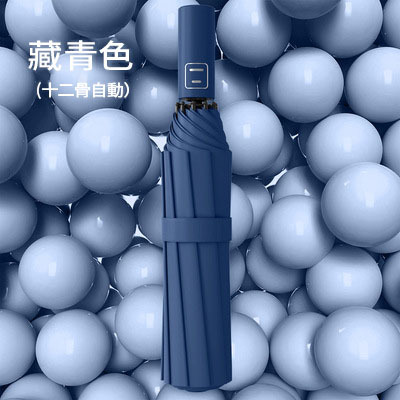 【買一送一】日本最新科技12骨黑膠晴雨兩用自動傘遮陽傘