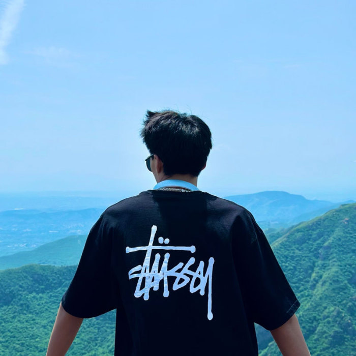 Stussy 經典系列 SS24 經典印花圖案寬鬆圓領短袖T卹 男女同款