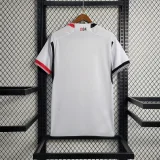 Benfica 2023-24 third away Soccer jersey
