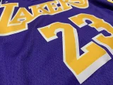 Lakers purple trapeze No. 23 James NBA Jersey
