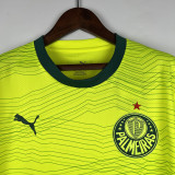 Palmeiras 2023-24 third away game