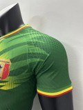 2023 Mali away green player version jersey