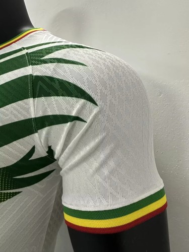 2023 Mali home white player version jersey