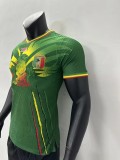 2023 Mali away green player version jersey
