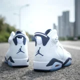 Air Jordan 6 series- shoes