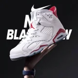 Air Jordan 6 series- shoes