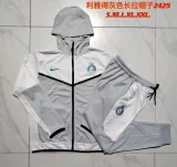 Al-Nassr 2023-24 long sleeve hoodie training clothes