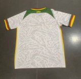 Cameroon 23-24 white soccer jerseys