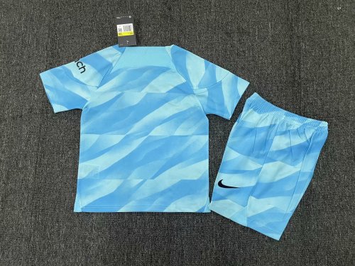 Tottenham goalkeeper kids soccer jerseys Set