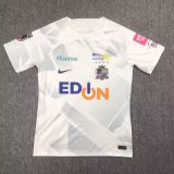sanfrecce hiroshima 2024-25 away soccer jerseys 