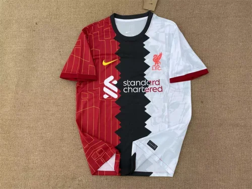 Liverpool 2024-25 colors training shirt