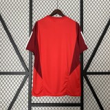2024-25 Internacional red training shirt