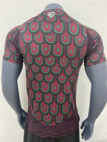2024 Mexico Player Version home(The player version is more slim fit, it is recommended to buy one size larger)