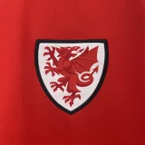 2024 Wales home red soccer jersey