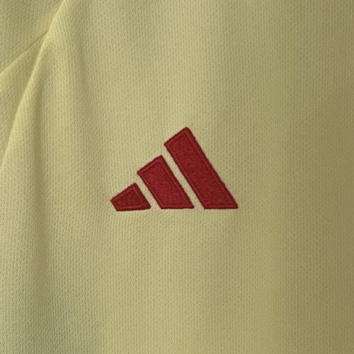 2024 Wales away yellow soccer jersey