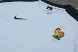 2024 France white cotton training suit