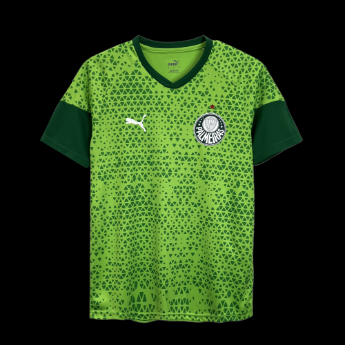 2024-25 Palmeiras Training clothes Green