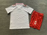 2024 Kids Denmark Away Jersey