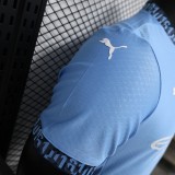 Manchester City 2024-25 home player version