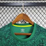 2024-25 Fluminense Green Training Jersey